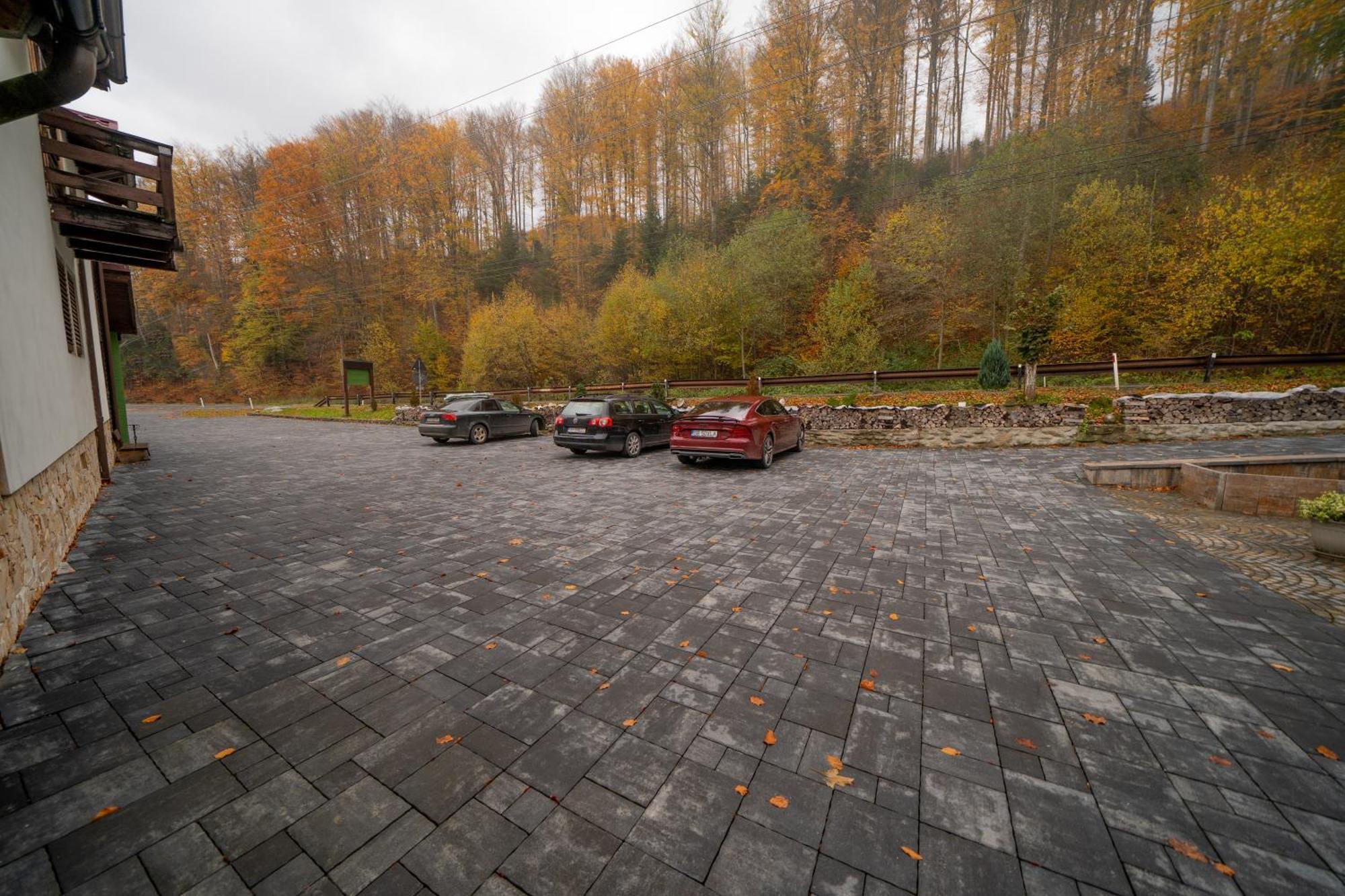 Popas Turistic Transfagarasan Otel Cîrţişoara Dış mekan fotoğraf